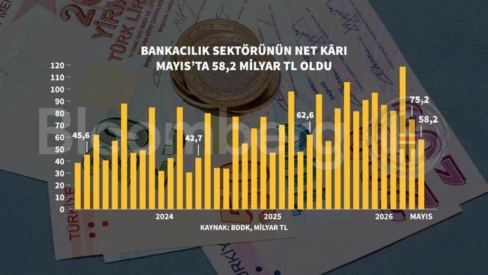 Bankacılık Sektörü Net Karlarda Yıl İçinde Artış ve Risk Göstergeleri