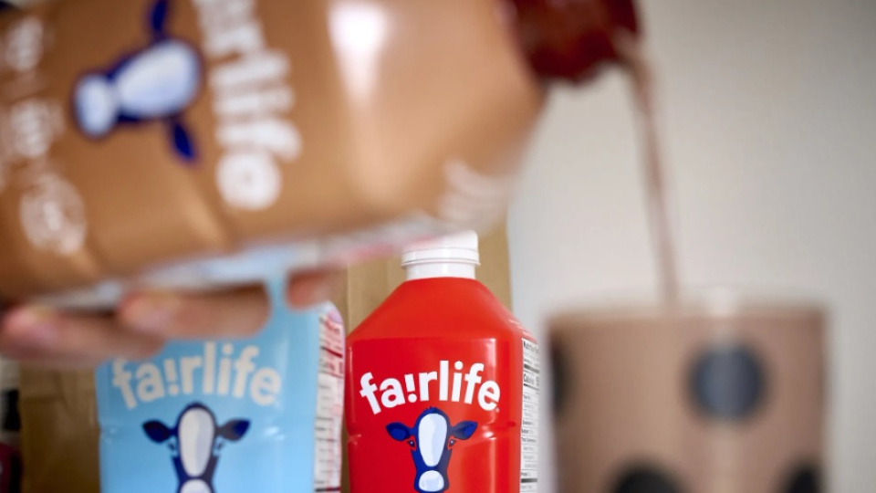 Coca-Cola'nın Fairlife süt ürünleri şirketi siber akına uğradı