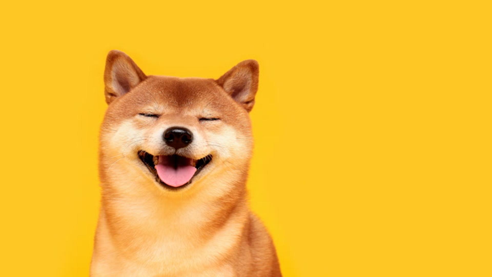 Güney Koreli traderlar gizemli ralliyi körüklüyor ve Shiba Inu %36 artıyor