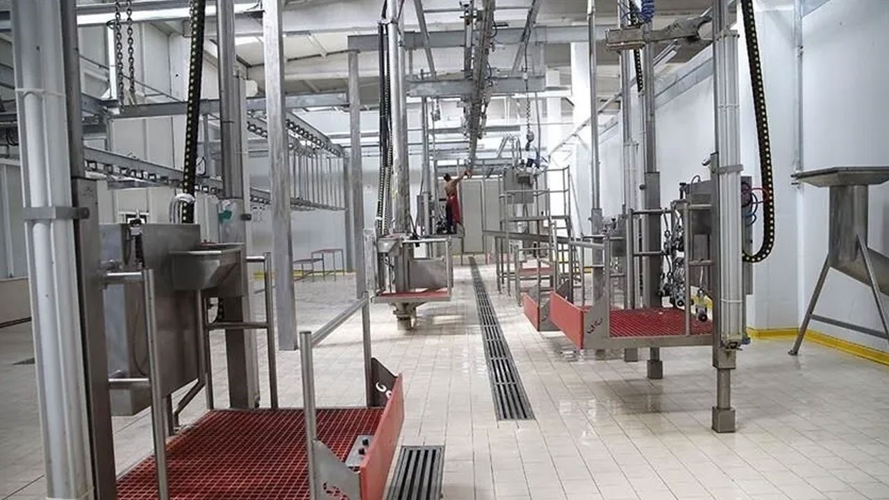 Kesimhanelerde kamera zaruriliği 2027'de başlayacak