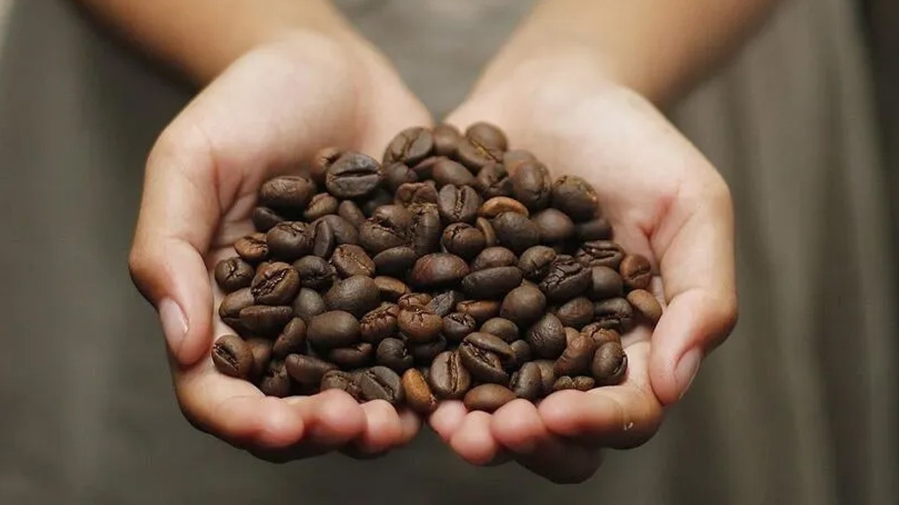 Kişi başı kahve tüketimi 2,5 kilograma koşuyor